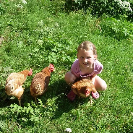 Apartament Biobauernhof Mittermoos