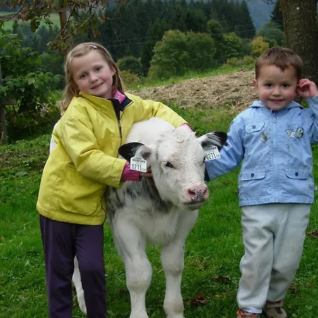 Biobauernhof Mittermoos