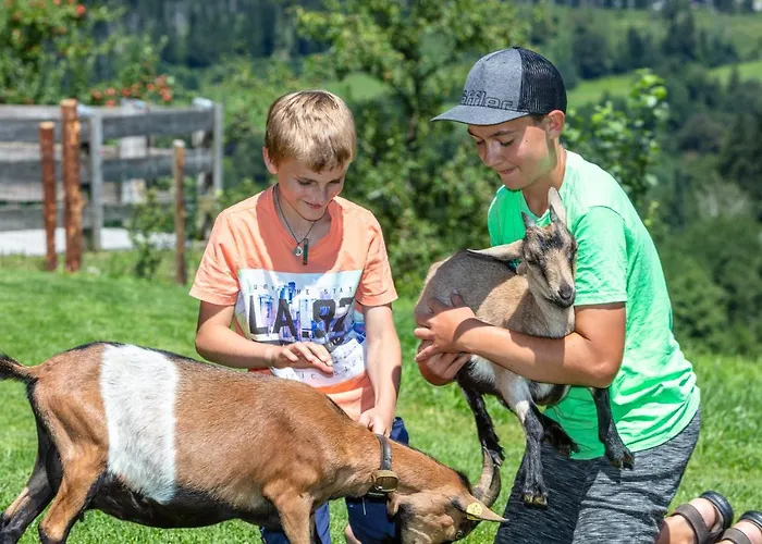 Biobauernhof Mittermoos *