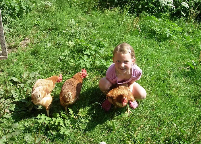 Apartament Biobauernhof Mittermoos