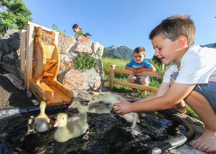 Biobauernhof Mittermoos Fieberbrunn