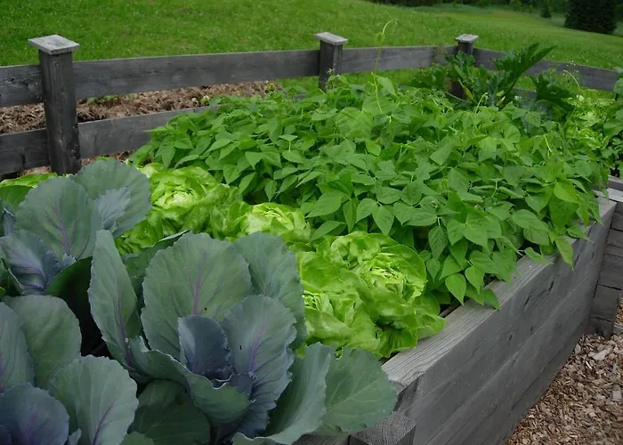 Biobauernhof Mittermoos Apartament *