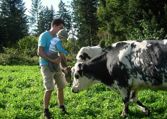 Biobauernhof Mittermoos *