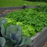 Biobauernhof Mittermoos Апартаменты *