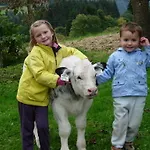 Biobauernhof Mittermoos