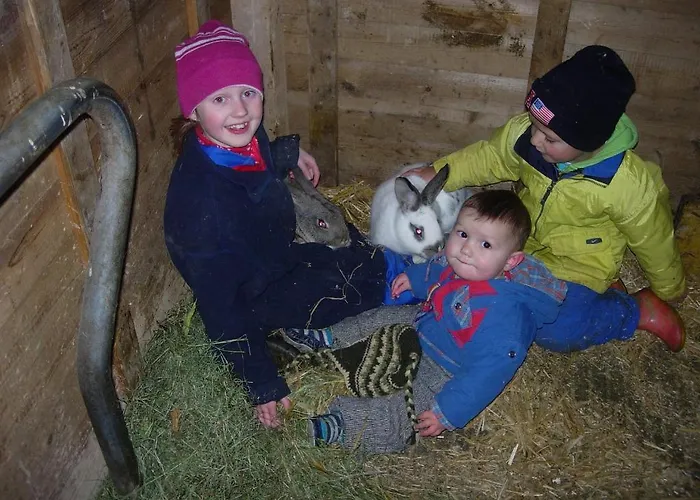 アパート Biobauernhof Mittermoos フィーバーブルン