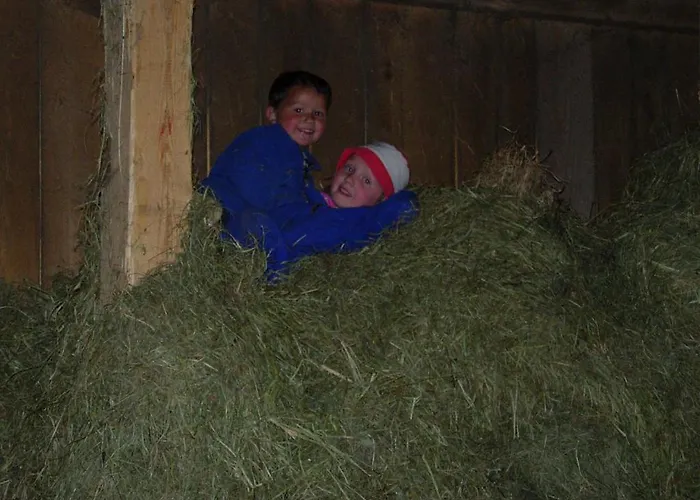 Biobauernhof Mittermoos アパート フィーバーブルン