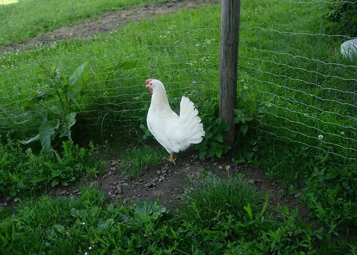 アパート Biobauernhof Mittermoos