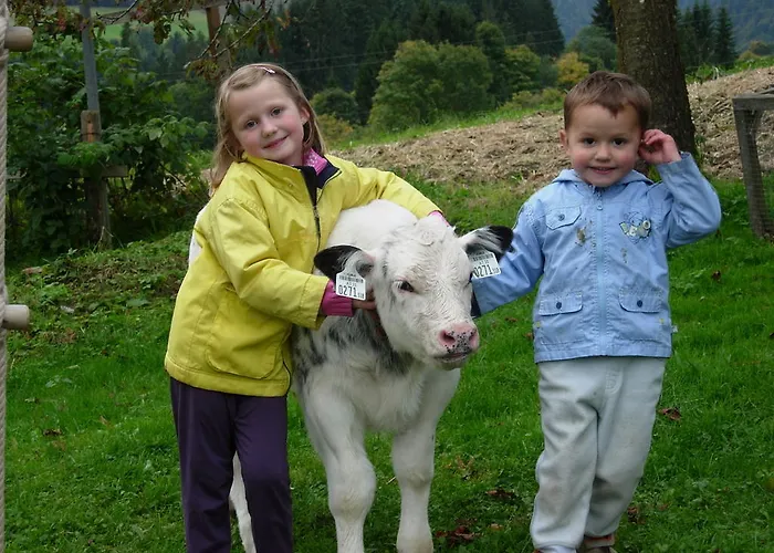 Biobauernhof Mittermoos