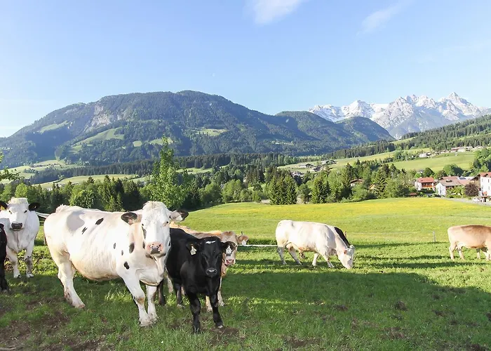 Biobauernhof Mittermoos * フィーバーブルン