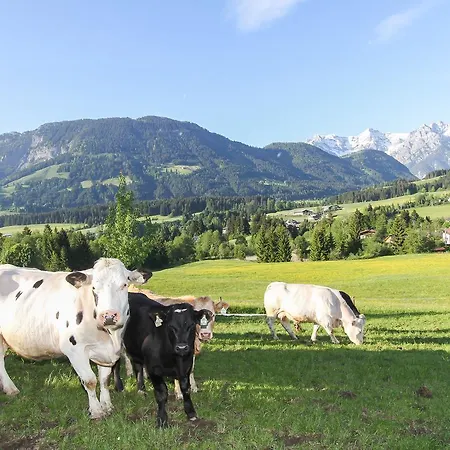 Biobauernhof Mittermoos * Fieberbrunn